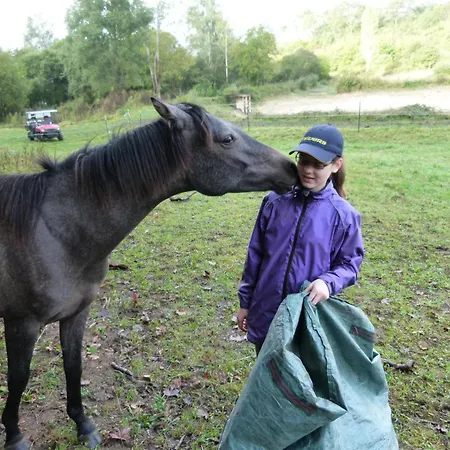 Chateau De Bellevue Et Avec Piscine Saisonal Chauffee Et Partout Climatisees Nocleg ze śniadaniem