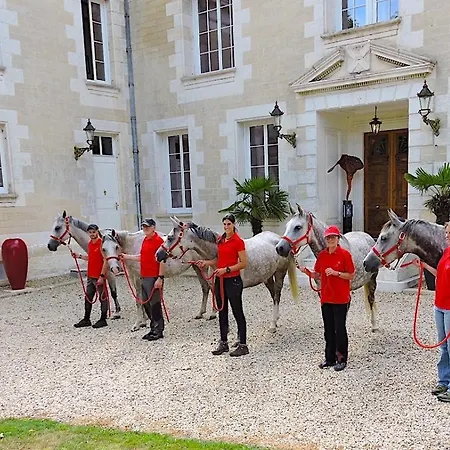 Nocleg ze śniadaniem Chateau De Bellevue Et Avec Piscine Saisonal Chauffee Et Partout Climatisees