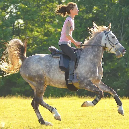 Chateau De Bellevue Et Avec Piscine Saisonal Chauffee Et Partout Climatisees Couette-café 4*