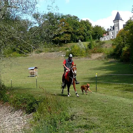 Chateau De Bellevue Et Avec Piscine Saisonal Chauffee Et Partout Climatisees 4* Saint-Avit (Charente)