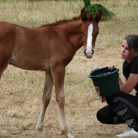 Couette-café Chateau De Bellevue Et Avec Piscine Saisonal Chauffee Et Partout Climatisees