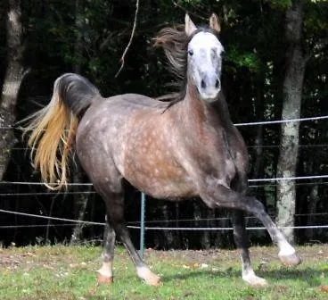Nocleg ze śniadaniem Chateau De Bellevue Et Avec Piscine Saisonal Chauffee Et Partout Climatisees